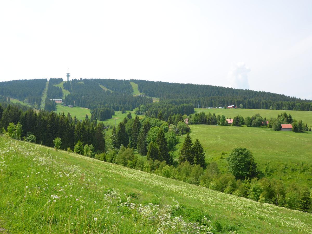 Nice Holiday Home In The Ore Mountains Only 500M From The Chairlift Loučná pod Klínovcem Екстериор снимка