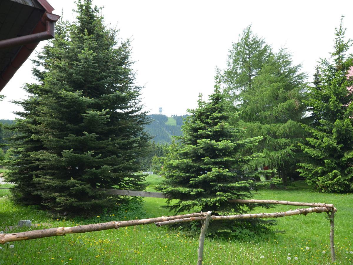 Nice Holiday Home In The Ore Mountains Only 500M From The Chairlift Loučná pod Klínovcem Екстериор снимка